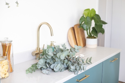 Why Everyone LOVES Eucalyptus – The Popular Plant That’s Totally on Trend 