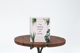 Healing Power Of Plants Book