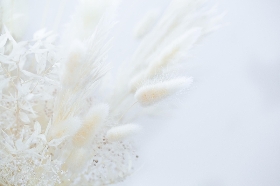 Whimsy in White Dried Bouquet