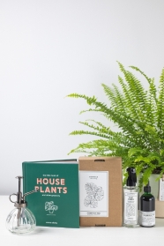Plant Lover Kit & Boston Fern