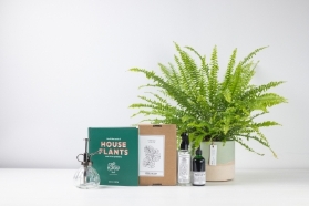 Plant Lover Kit & Boston Fern